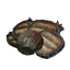 Grilled Algae Buds