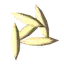 Oat Seeds