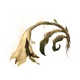 Miquella's Lily