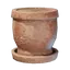 Large Plant Pot