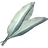 Felsaad Tern Feathers