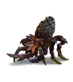 Insectoids
