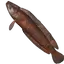 Grilled Shadowtail