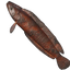 Grilled Shadowtail