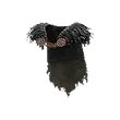 Dragon's Dogma 2 Waterfowl Cloak.webp