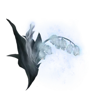Ghost Glovewort [7]