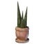 Bamboo Plant Pot