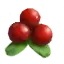 Lingonberries