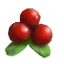 Lingonberries