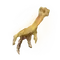 Elden-ring gold-pickled-fowl-foot.webp