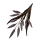 Elden-ring rada-fruit.webp