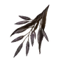 Elden-ring rada-fruit.webp