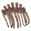 Asksvin Ribcage
