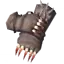 Paws of the Bear