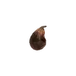 Dragon's Dogma 2 Rotten Fig.webp