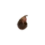 Rotten Fig