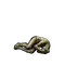 Elden-ring balled-up.webp