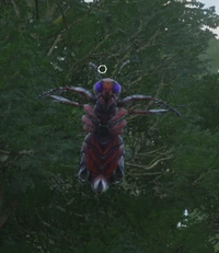 Pink Stinger