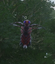 Pink Stinger