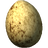 Hawk's Egg