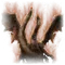 Elden-ring remembrance-of-the-dragonlord.webp