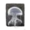 Elden-ring spirit-jellyfish-ashes.webp