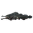 Slaughterfish