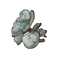 Elden-ring toxic-mushroom.webp