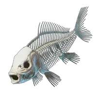 Fish Bones