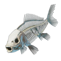 Fish Bones