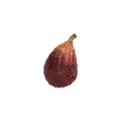 Dragon's Dogma 2 Fig.webp