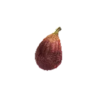 Fig