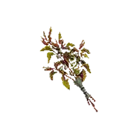Grandpetal