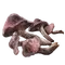 Elden-ring redflesh-mushroom.webp
