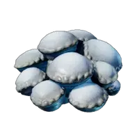 Fresh Shroud Spore