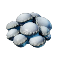 Fresh Shroud Spore