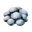 Fresh Shroud Spore