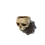 Crypt Wall Skull Torch