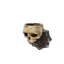 Crypt Wall Skull Torch