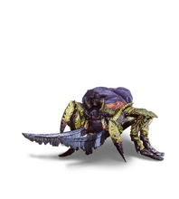 Venomous Arachas