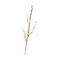 Elden-ring sacrificial-twig.webp