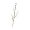 Elden-ring sacrificial-twig.webp