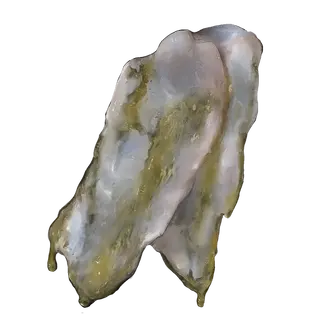 Strip of White Flesh