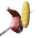 Raw Meat and Corncob Skewer