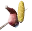Raw Meat and Corncob Skewer