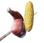 Raw Meat and Corncob Skewer