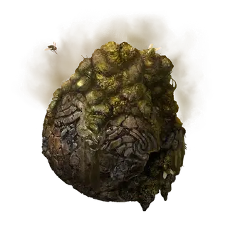 Fetid Pot