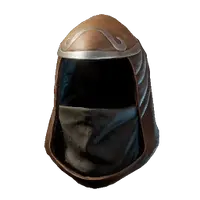 Assassin Hood