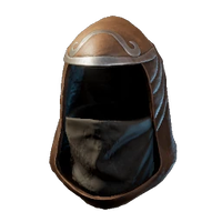 Assassin Hood