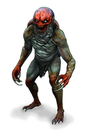 Nekker Warrior